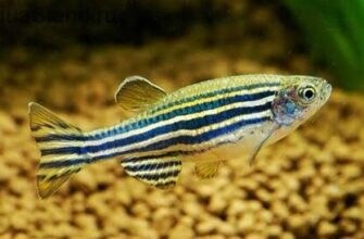 creator-gd-jpeg-v1-0-using-ijg-jpeg-v80-quality-80