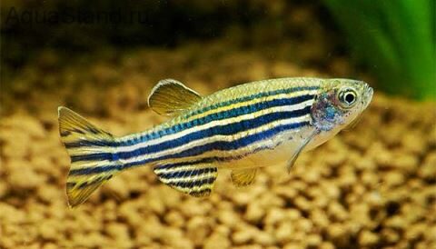 creator-gd-jpeg-v1-0-using-ijg-jpeg-v80-quality-80