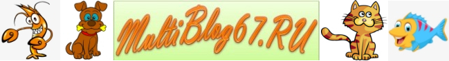 MultiBlog67.RU